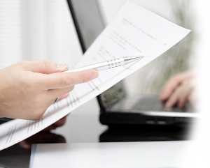 (English) payroll services - statutory lodgement services